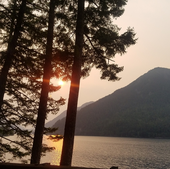 Meet your Posher, Sheree - Picture 11 of 12